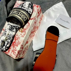Dior slides